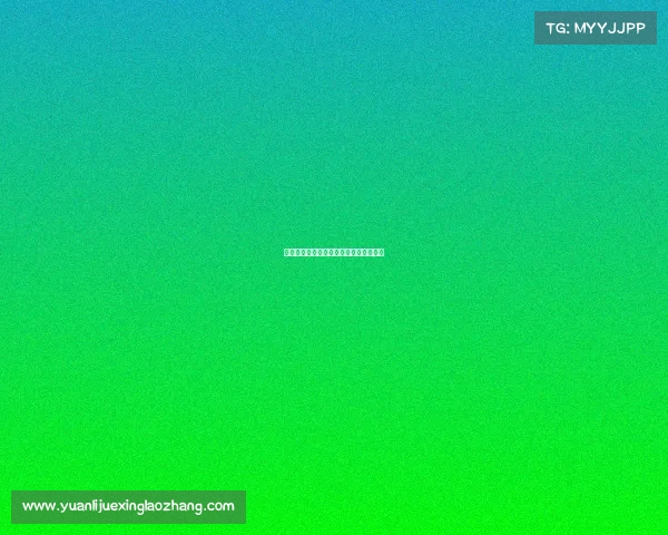 中跑联盟赛事星级中跑联盟赛事星级划分