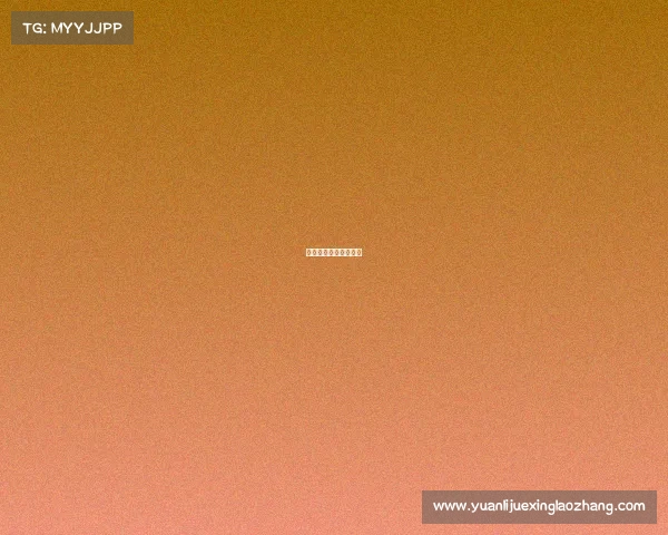 体育赛事中的格局体现