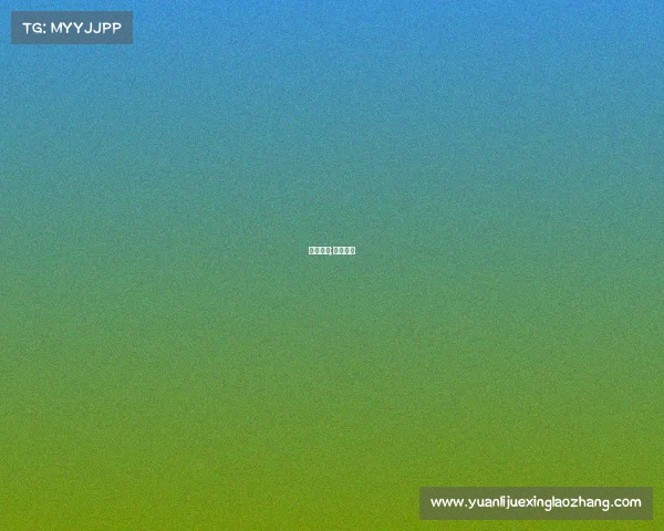 国篮赛事;中国国篮