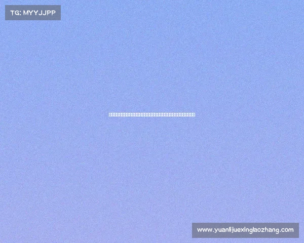 赛事资料、赛事资料深度研究：全面盘点国内外赛事数据与历史档案分析报告