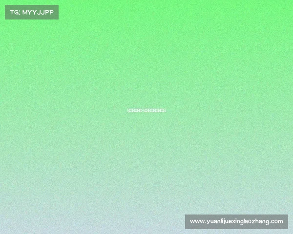 跆拳道的赛事-跆拳道的赛事叫什么